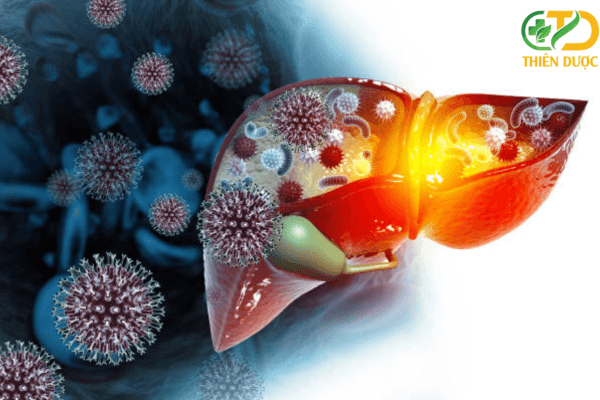 ung-thu-gan-can-benh-gay-tu-vong-hang-dau-viet-nam