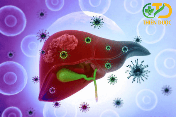 virus-tan-cong-gan-gay-suy-giam-chuc-nang-gan-gan-yeu