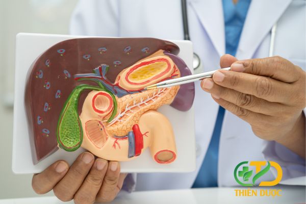 Bo-doi-gan-va-mat-doi-voi-co-the