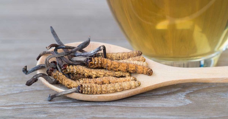 Co-the-su-dung-dong-trung-ha-thao-cho-nhieu-doi-tuong-khac-nhau-tu-nguoi-tre-den-nguoi-gia-