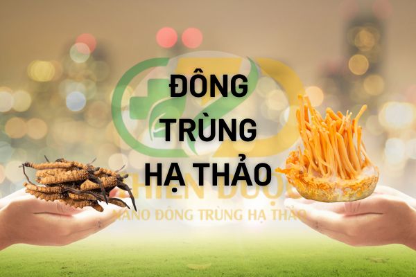 dong-trung-ha-thao