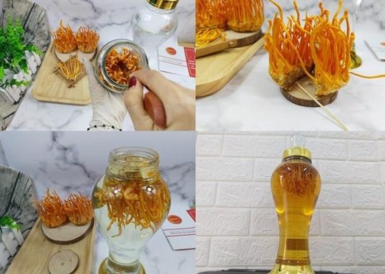 dong-trung-ha-thao-ngam-ruou