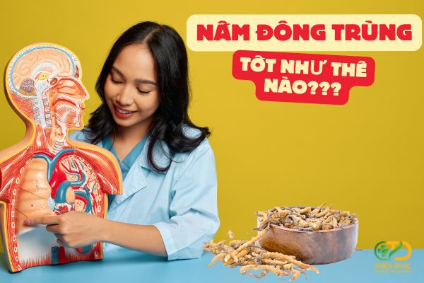 dong-trung-tot-nhu-the-nao