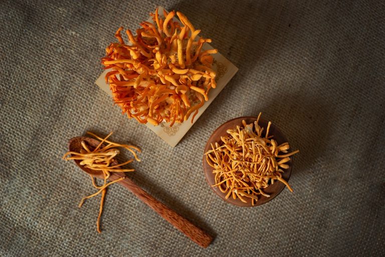 dong-trung-tuoi-va-kho