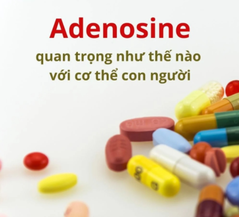 tac-dung-cua-adenosine