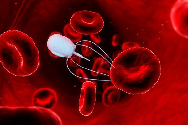 y-te-la-mot-ung-dung-lon-nhat-cua-cong-nghe-nano