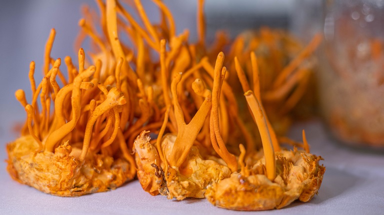 An-truc-tiep-se-giup-dam-bao-co-the-hap-thu-duoc-toan-bo-cac-duong-chat-co-trong-DTHT