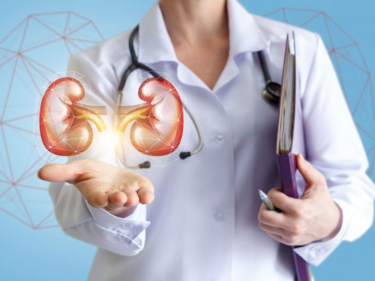 Cac-nghien-cuu-khoa-hoc-chung-minh-dong-trung-ha-thao-trong-dieu-tri-benh-than-