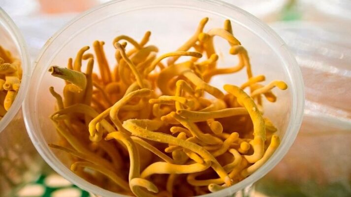 Cach-dung-DTHT-kho-nguyen-con-truc-tiep