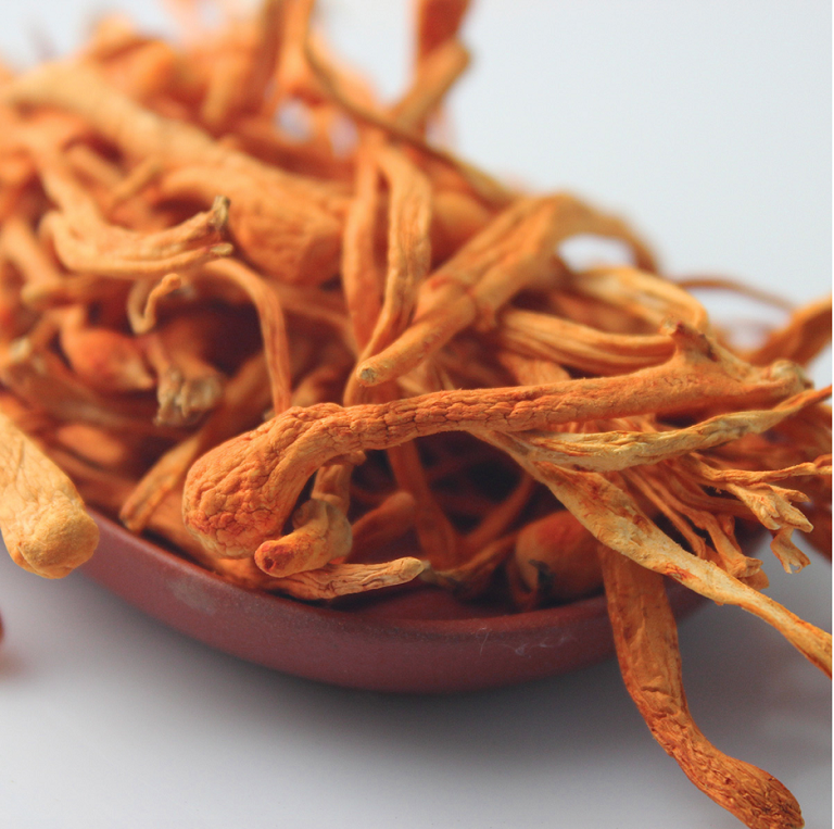 Cong-dung-cua-DTHT-kho-Han-Quoc-