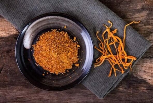 Dong-trung-ha-thao-bot-co-cong-dung-tuong-tu-nhu-loai-DTHT-tuoi-