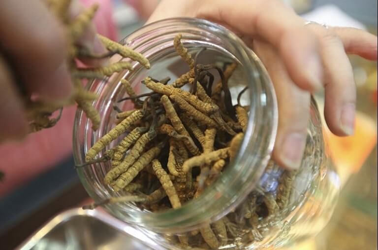 trung-ha-thao-co-nhieu-cong-dung-tuyet-voi-doi-voi-than-