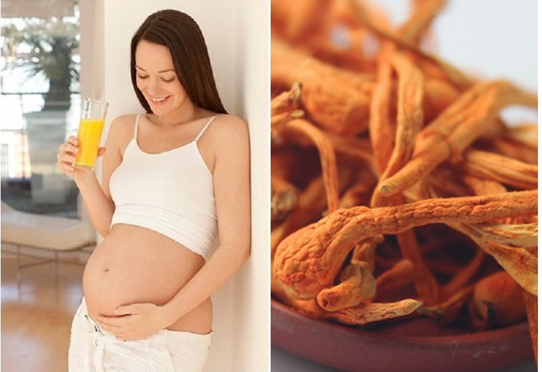 Dong-trung-ha-thao-giup-tang-cuong-suc-de-khang-o-ba-bau