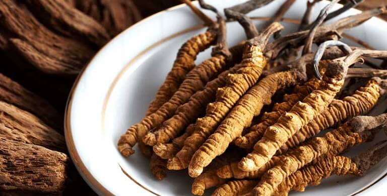 Giai-doan-thich-hop-de-ba-bau-su-dung-dong-trung-ha-thao