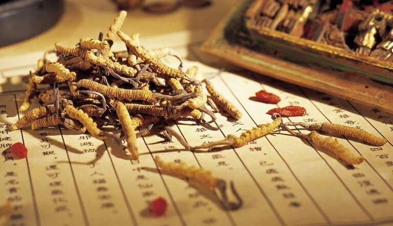 Mot-so-doi-tuong-khong-nen-su-dung-trung-ha-thao-