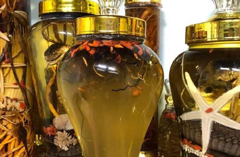 Ngam-ruou-DTHT-bo-xit-cung-tuong-tu-nhu-cach-ngam-doi-voi-cac-loai-DTHT-khac-