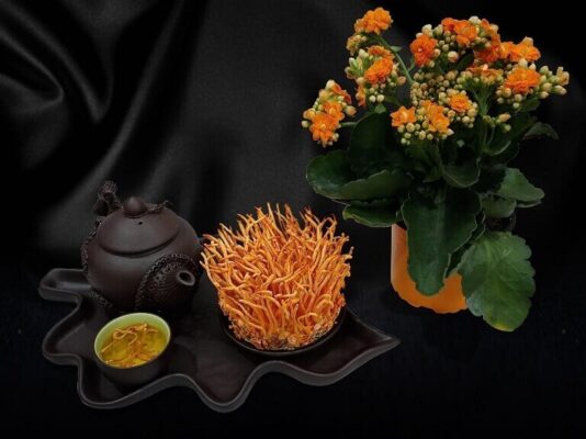 Pha-tra-la-mot-trong-nhung-cach-su-dung-trung-ha-thao-don-gian-nhat