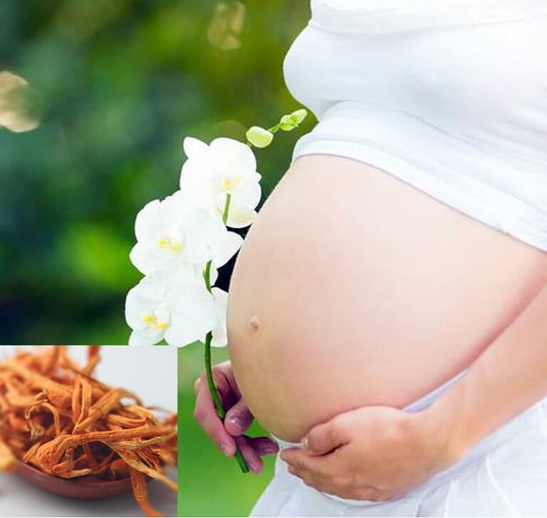 Su-dung-dong-trung-ha-thao-giup-giam-thieu-tinh-trang-thieu-mau-o-ba-bau