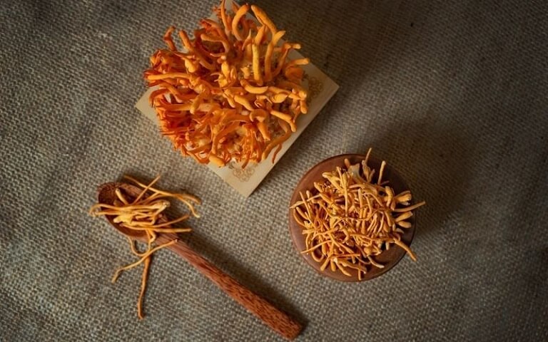 Trong-DTHT-tuoi-co-chua-toi-hon-17-loai-axit-amin-tot-cho-suc-khoe-cua-con-nguoi