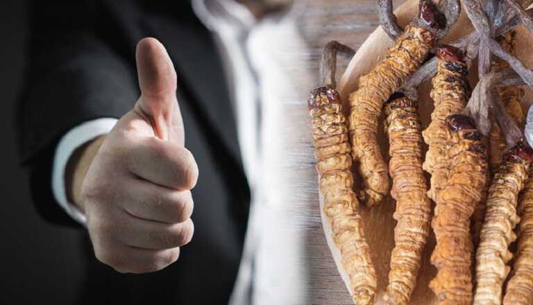 dong-trung-ha-thao-cai-thien-sinh-ly