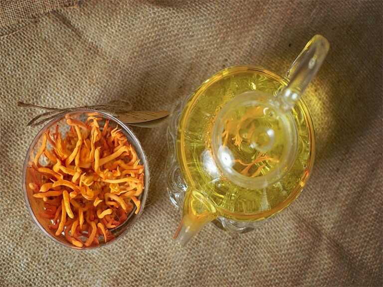 tra-dong-trung-ha-thao-kho