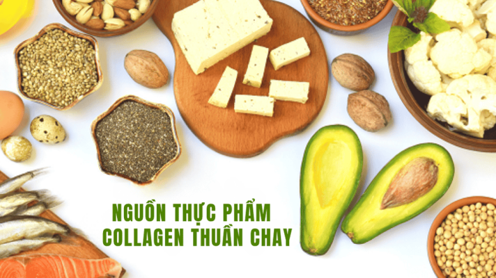 collagen-thuan-chay