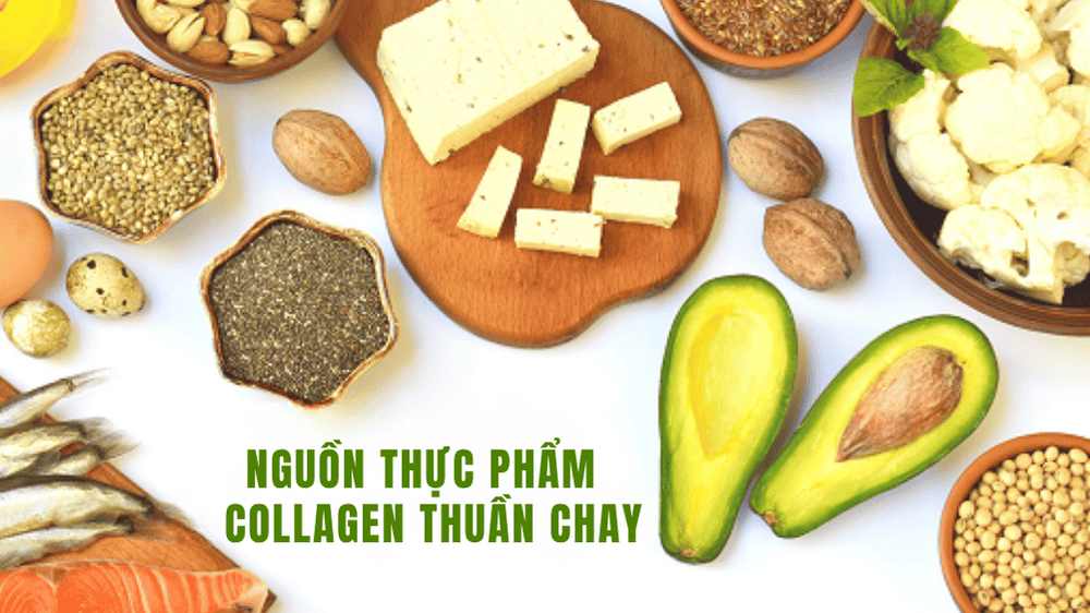 collagen-thuan-chay