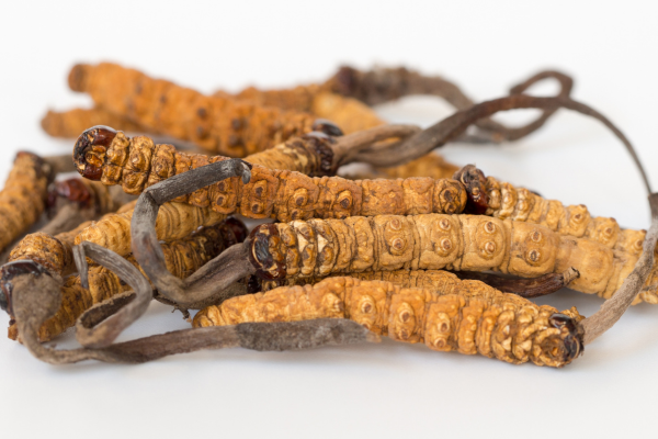 Dong-trung-ha-thao-nguyen-con