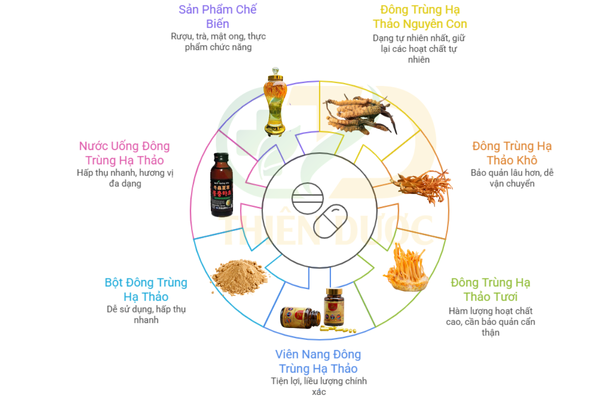 cac-dang-che-pham-dong-trung-ha-thao-tren-thi-truong