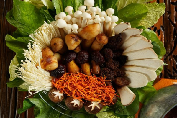 lau-nam-dong-trung-ha-thao