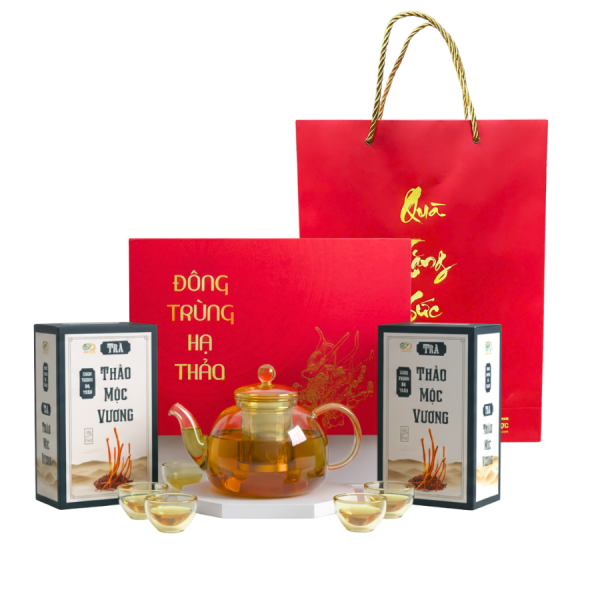 qua-tang-suc-khoe-thien-duoc-2026 qua-tang-suc-khoe-thien-duoc-2026