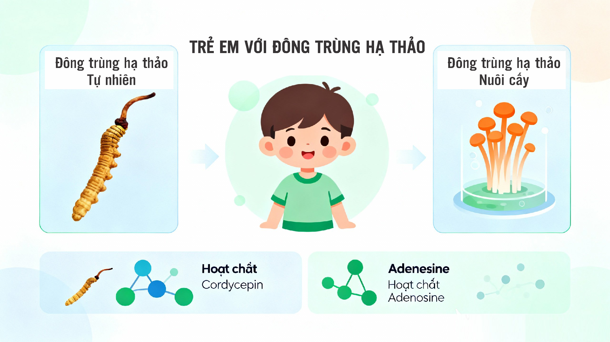 Trẻ mấy tuổi dùng được đông trùng hạ thảo? — Hướng dẫn theo độ tuổi