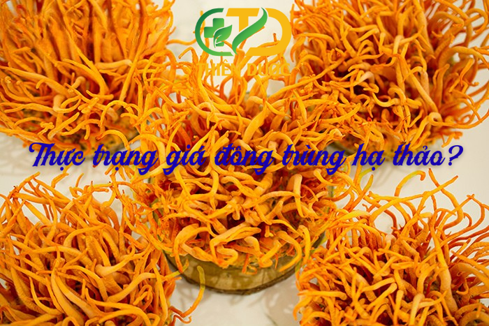 Gia-dong-trung-ha-thao-tuoi