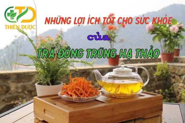 Nhung-loi-ich-cua-tra-dong-trung-ha-thao