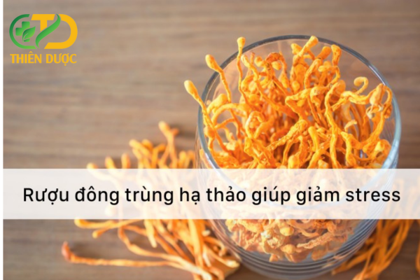 Tac-dung-dong-trung-ha-thao-ngam-ruou