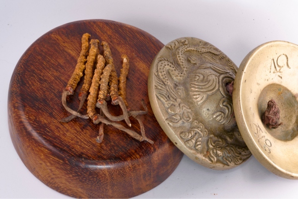 dong-trung-ha-thao-kho-tay-tang