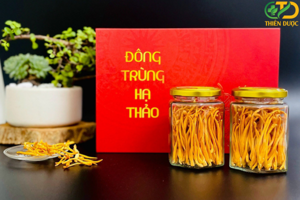 dong-trung-ha-thao-kho-thien-duoc