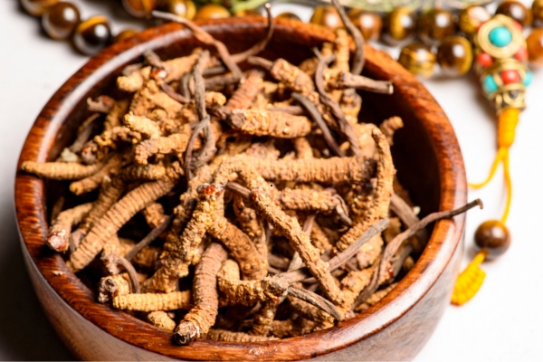 dong-trung-ha-thao-kho