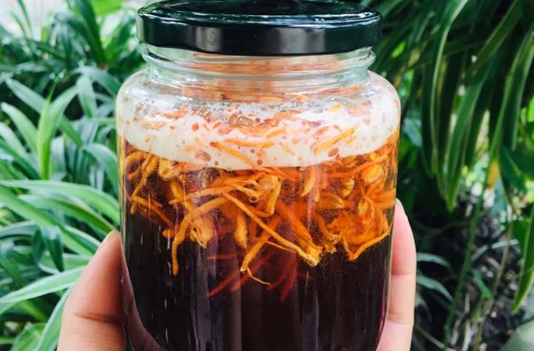 dong-trung-ha-thao-ngam-mat-ong