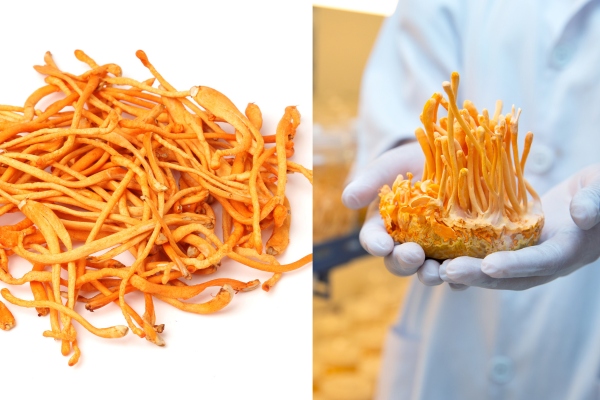 nam-dong-trung-ha-thao-tuoi-va-kho